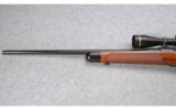 Winchester Model 70 Custom .30-06 SPRG - 6 of 8