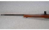 Ruger M77 Mark II .204 RUGR - 6 of 7