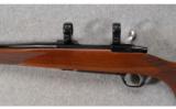 Ruger M77 Mark II .204 RUGR - 4 of 7