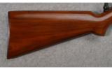 Winchester Model 61 .22 S,L,LR - 5 of 9