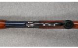 Winchester Model 71 .348 WCF - 3 of 9
