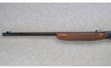 Browning Auto-22 .22 LR - 6 of 9