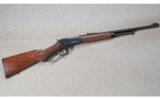 Winchester Model 9410 .410 BORE - 1 of 8
