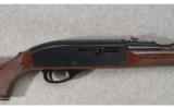Remington Nylon 66 .22 LR - 2 of 8