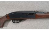 Remington Nylon 66 .22 LR - 2 of 8