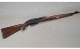 Remington Nylon 66 .22 LR - 1 of 8