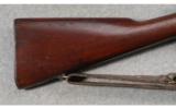 Springfield Armory Model 1903 