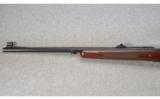 Winchester Model 70 .375 H&H - 6 of 7