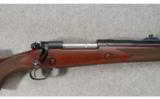 Winchester Model 70 .375 H&H - 2 of 7