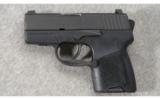 Sig Sauer Model P290 9MM - 2 of 4