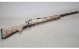 Remington Model 700 .204 RUGR - 1 of 7