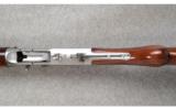 Browning Model A-5 Ducks Unlimited 12 GA - 3 of 8