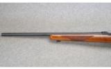 Ruger M77/22 .22 LR - 6 of 8