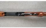 Browning Lightning BLR .243 WIN - 3 of 8