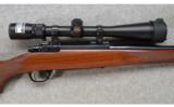 Ruger M77 Hawkeye .243 WIN - 4 of 7