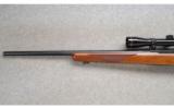Ruger ~ 77/22 ~ .22 LR - 7 of 9