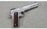 Kimber ~ Stainless Target ~ 10mm - 1 of 4