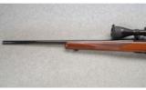 Ruger ~ M77 Mark II ~ .243 Win. - 7 of 9