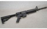 Bushmaster ~ XM15-E2S ~ 5.56 Nato - 1 of 9