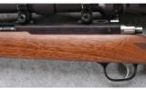 Ruger ~ 77/17 ~ .17 HMR - 8 of 9