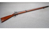 Springfield ~ Trapdoor Model 1873 ~ .45-70 Govt. - 1 of 12