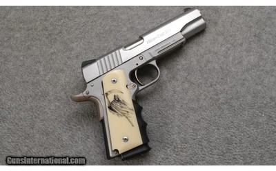 Para Ordnance ~ Nite-Tac SS ~ .45 Auto