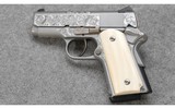 Para Ordnance ~ Carry ~ .45 Auto - 2 of 4