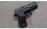 Sig Sauer ~ P320 ~ .45 Auto - 1 of 4