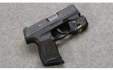Sig Sauer ~ P365 ~ 9mm Luger - 1 of 4
