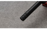 Ruger ~ AR-556 ~ .450 Bushmaster - 8 of 9