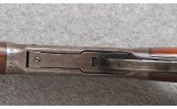 Winchester ~ 94 ~ .25-35 WCF - 11 of 11