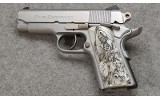 Para Ordnance ~ Companion ~ .45 Auto - 1 of 3