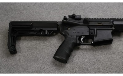 Bushmaster ~ XM15-E2S ~ .300 Blackout