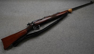 BSA ~ Enfield Sporter ~ .303 British
