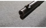 Winchester ~ Model 1892 ~ .25-20 W.C.F. - 11 of 11
