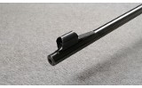 Winchester ~ Model 70 ~ .22 Hornet - 11 of 11
