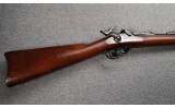 Springfield ~ 1878 Trapdoor ~ .45 cal - 2 of 11