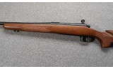Remington ~ 700 ~ .25-06 - 6 of 11