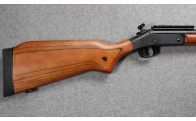 H&R ~ Ultra Slug ~ 20 Gauge - Image 2 of 9
