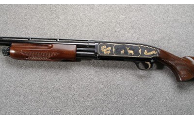 Browning ~ BPS Texas Sportsman ~ 12 Gauge - Image 6 of 11