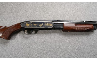 Browning ~ BPS Texas Sportsman ~ 12 Gauge - Image 3 of 11