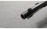 Remington ~ Argentine 1879 ~ .43 Spanish - 11 of 11