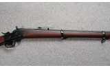 Remington ~ Argentine 1879 ~ .43 Spanish - 3 of 11