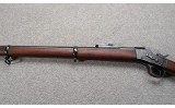 Remington ~ Argentine 1879 ~ .43 Spanish - 6 of 11