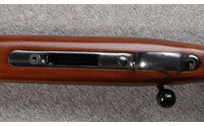 CZ ~ 452-2E ZKM ~ .17 HMR - Image 7 of 9