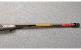 Browning ~ X-Bolt ~ .28 Nosler - 4 of 11
