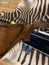 Krieghoff K80 Sporting 30” barrel - 5 of 12