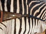 Simson Suhl 45-70 Double rifle - 2 of 15