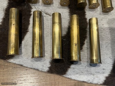 577 Nitro expressseven loaded rounds and five unloaded - Image 3 of 3