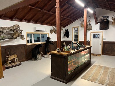 HY-ND ARMS …New Gun Room - Image 6 of 15